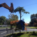 A beautiful cherry tree being hoisted above the construction fence to be planted at another location on the property.